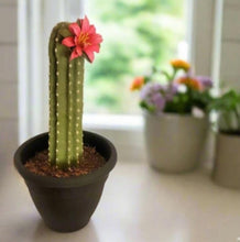 Load image into Gallery viewer, Toilet Brush Holder Cactus Blossom Container Caddy for Bowl Brush Southwest Decor Bathroom Succulent
