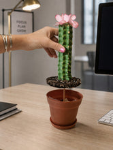 Load image into Gallery viewer, Cactus Candy Dish- Choose Your Flower and Planter Color
