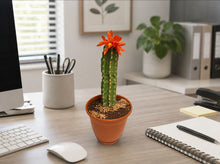 Load image into Gallery viewer, Cactus Candy Dish- Choose Your Flower and Planter Color
