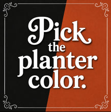 Load image into Gallery viewer, Cactus Candy Dish- Choose Your Flower and Planter Color
