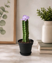 Load image into Gallery viewer, Cactus Candy Dish- Choose Your Flower and Planter Color
