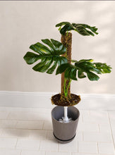 Load image into Gallery viewer, Monstera Potty Plants® – Hidden Toilet Brush Holder &amp; Bathroom Plant Decor
