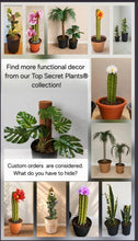 Load image into Gallery viewer, Monstera Potty Plants® – Hidden Toilet Brush Holder &amp; Bathroom Plant Decor

