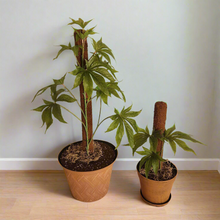 Load image into Gallery viewer, Fake Pot Plants Covers for Toilet Plunger &amp; Scrub Brush Bathroom Humor Artificial Marijuana Pot Plant Home Decor 420 Cannabis Inspired Decorative
