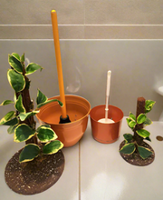 Load image into Gallery viewer, Hide Toilet Plunger and Scrub Brush Bathroom Decor Cover Container Variegated  POTTY PLANTS
