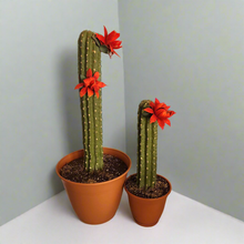 Load image into Gallery viewer, Covers for Toilet plunger and bowl scrub brush containers caddy look like cactus Southwest Decor Saguaro
