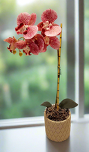 Load image into Gallery viewer, Secret Orchid Hide Keys Valuables Desk Organizer Bedside Items Candy Dish
