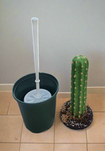 Load image into Gallery viewer, Saguaro Cactus cover hide toilet bowl scrub brush Potty Plants

