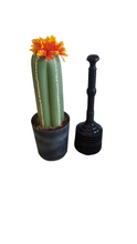 Load image into Gallery viewer, Bellows Plunger Container Cover Succulent Cactus Southwest Bathroom Decor POTTY PLANTS
