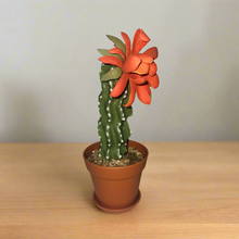 Load image into Gallery viewer, Cactus Toothpick Holder Southwest Decor Succulent Key Stash Small Items
