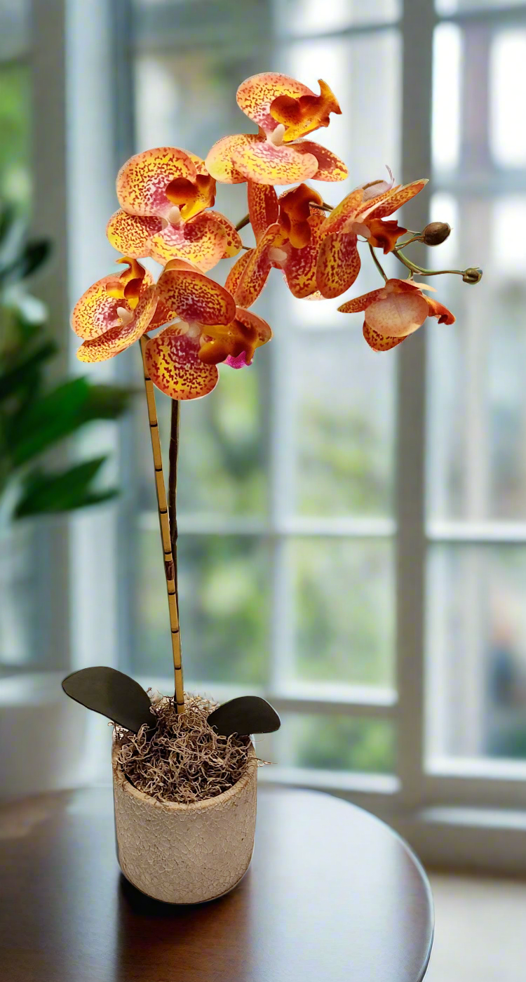 Secret Orchid Hide Keys Valuables Desk Organizer Bedside Items Candy Dish