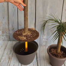 Load image into Gallery viewer, Palm Trees Toilet Plunger and Scrub Brush Covers Set Beach Theme Bathroom Accessories Island Decor for Cleaning Tools
