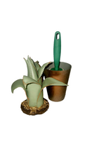 Load image into Gallery viewer, SuccuLINT™ Lint Roller Container
