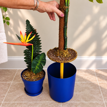 Load image into Gallery viewer, Monstera &amp; Bird of Paradise Potty Plants® Toilet Plunger and Brush Container Holders
