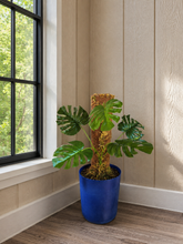 Load image into Gallery viewer, Bellows Toilet Plunger Holder, Bathroom Decor, Hidden Plunger Cover, Monstera Plant, Accordion Plunger Storage
