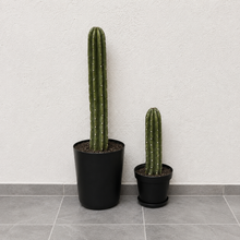 Load image into Gallery viewer, Toilet plunger and bowl scrub brush containers Southwest Bathroom Decor Cactus Saguaro
