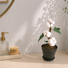 Load image into Gallery viewer, Cotton Ball &amp; Swab Holder – Cotton Pad &amp; Round Storage – Decorative Cotton Plant
