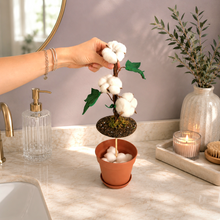 Load image into Gallery viewer, Cotton Ball &amp; Swab Holder – Cotton Pad &amp; Round Storage – Decorative Cotton Plant
