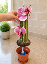 Load image into Gallery viewer, Bottle Brush with Holder – Orcactid™ Orchid Cactus – Water Bottle &amp; Baby Bottle Brush – Unique Kitchen Decor
