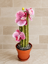 Load image into Gallery viewer, Bottle Brush with Holder – Orcactid™ Orchid Cactus – Water Bottle &amp; Baby Bottle Brush – Unique Kitchen Decor
