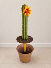 Load image into Gallery viewer, Cactus Toilet Plunger Cover Southwest Bathroom Decor Succulent Saguaro
