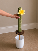 Load image into Gallery viewer, Cactus Toilet Plunger Cover Southwest Bathroom Decor Succulent Saguaro
