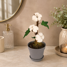 Load image into Gallery viewer, Cotton Ball &amp; Swab Holder – Cotton Pad &amp; Round Storage – Decorative Cotton Plant

