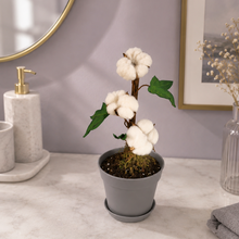 Load image into Gallery viewer, Cotton Ball &amp; Swab Holder – Cotton Pad &amp; Round Storage – Decorative Cotton Plant
