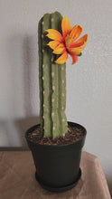 Load and play video in Gallery viewer, Top Secret Cactus Decor Hidden Storage Container Hide Valuables Organize Crafts Store Jewelry
