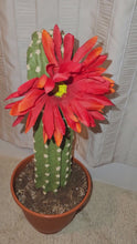 Load and play video in Gallery viewer, Southwest Cactus Toilet Brush Holder Bathroom Decor Hidden Succulent POTTY PLANTS
