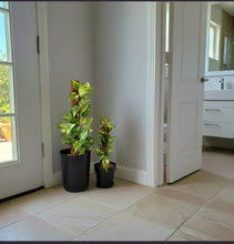 Load image into Gallery viewer, Pothos Potty Plants®️ toilet plunger and scrub brush containers
