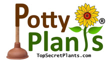 Load image into Gallery viewer, Saguaro Cactus cover hide toilet bowl scrub brush Potty Plants
