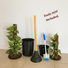 Load image into Gallery viewer, Pothos Potty Plants®️ toilet plunger and scrub brush containers
